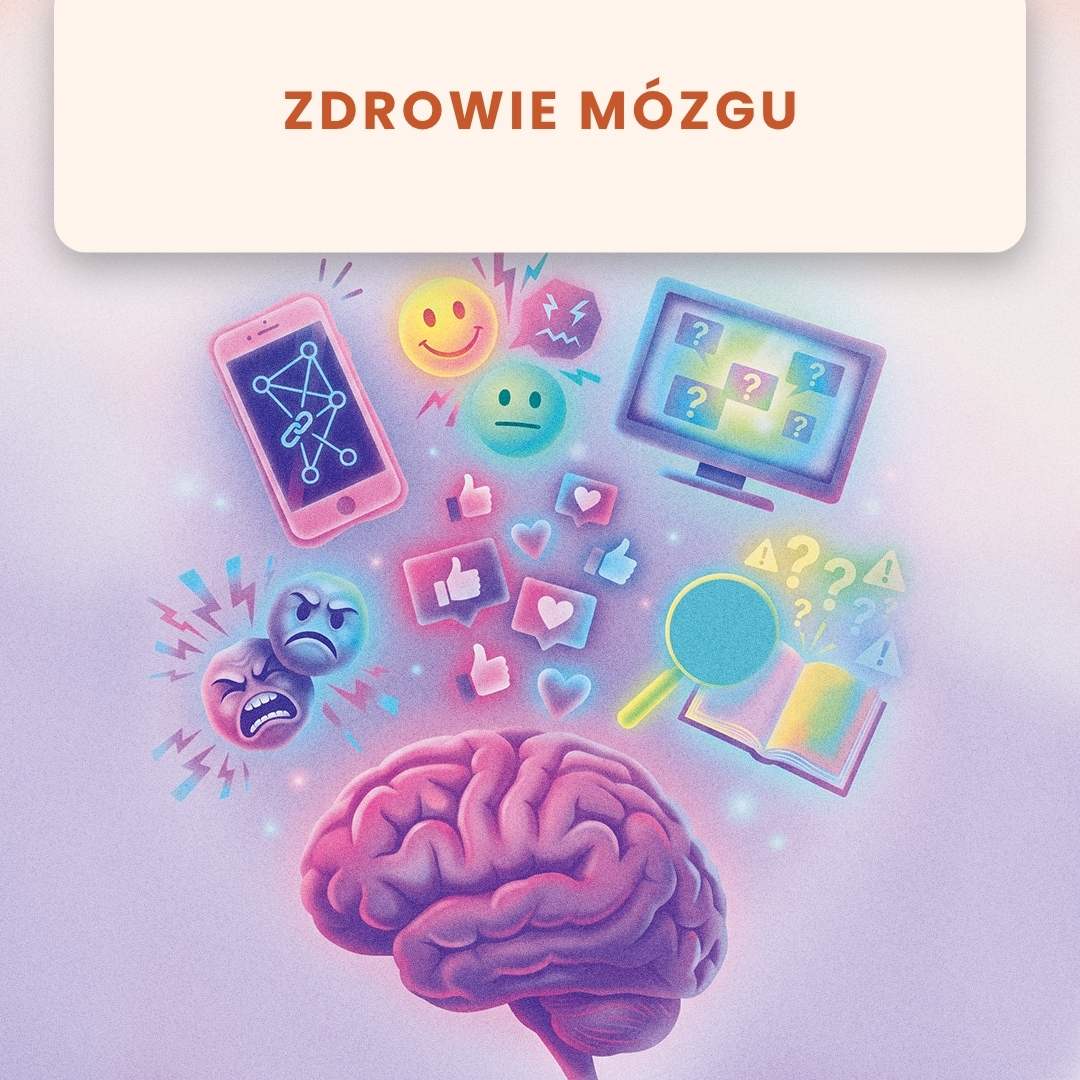mozg ponadpodstawowe